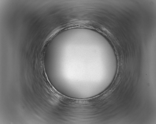 X0000079331354200611170945