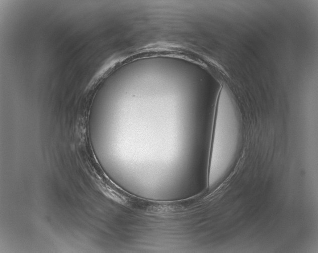 X0000079331355200611170945