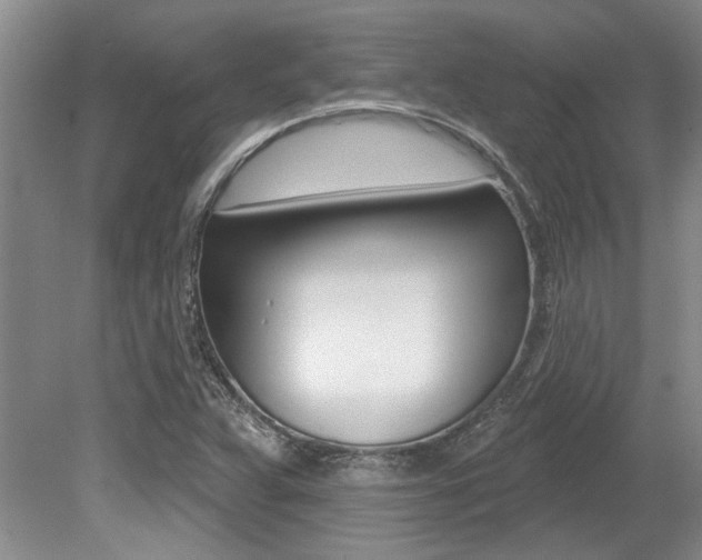 X0000079331359200611170945