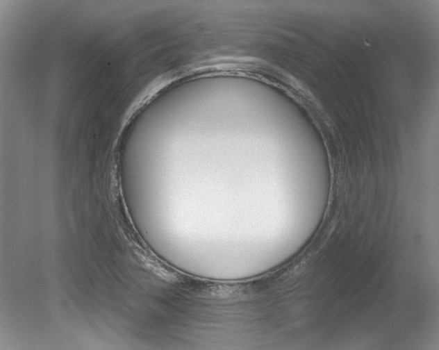 X0000079331362200611170945