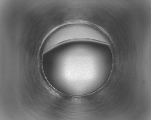 X0000079331364200611170945