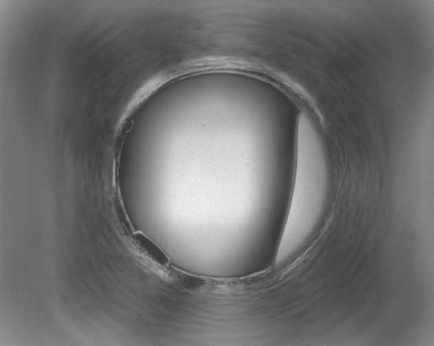 X0000079331365200611170945