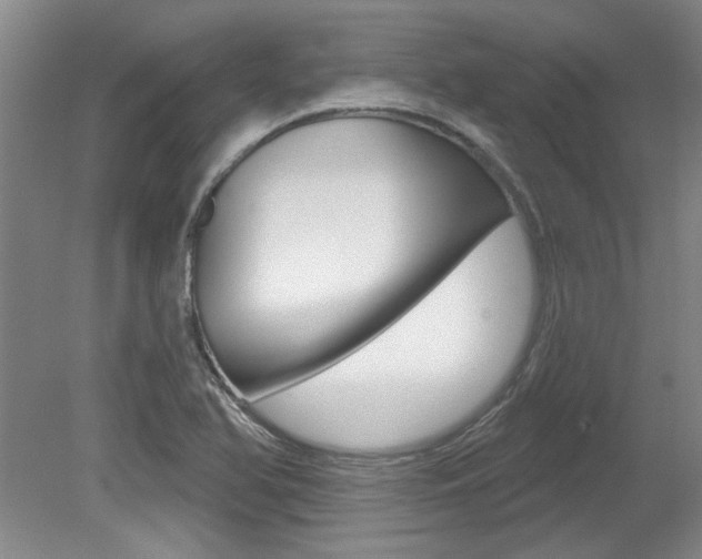 X0000079331366200611170945