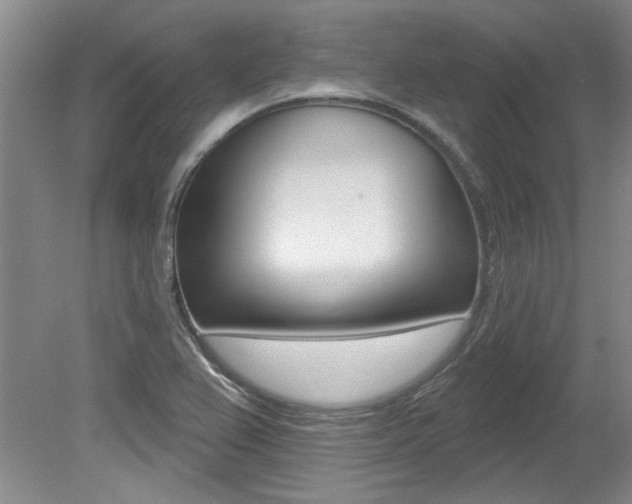 X0000079331367200611170945