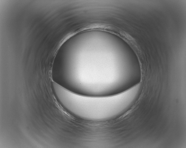 X0000079331369200611170945