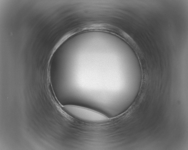 X0000079331370200611170945