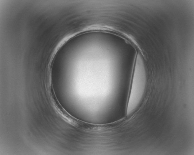 X0000079331371200611170945