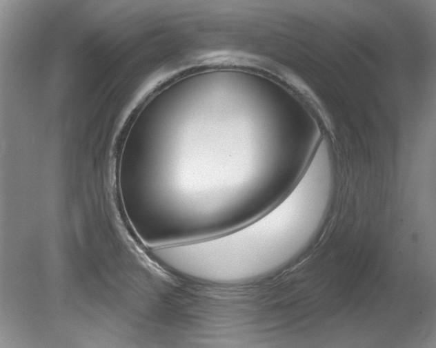 X0000079331376200611170945