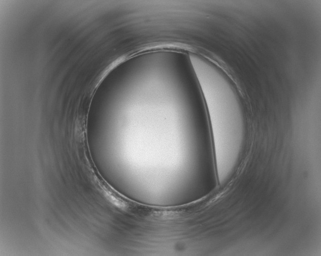 X0000079331377200611170945