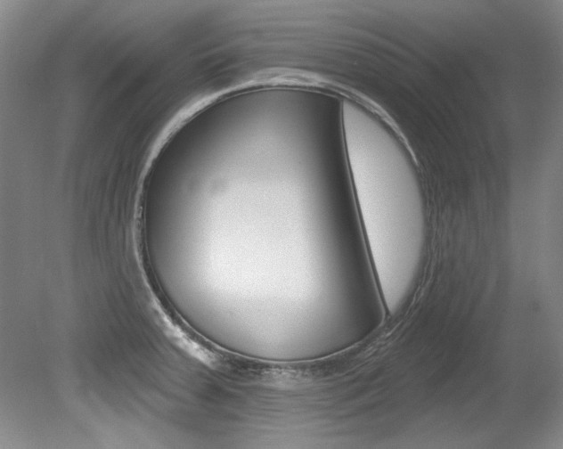 X0000079331379200611170945
