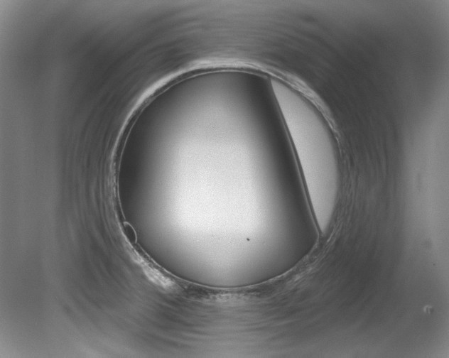 X0000079331380200611170945
