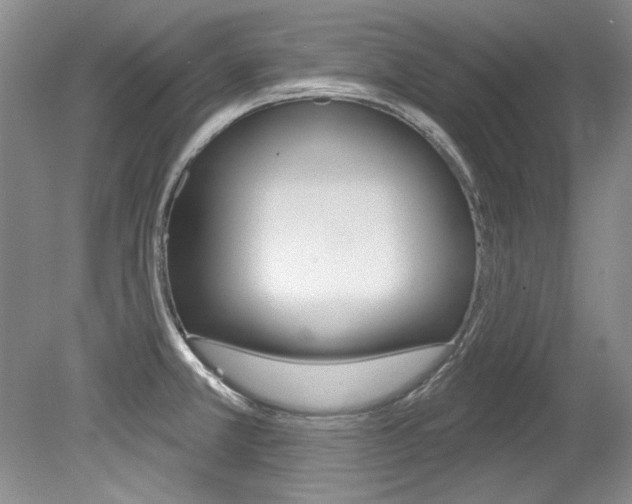 X0000079331381200611170945