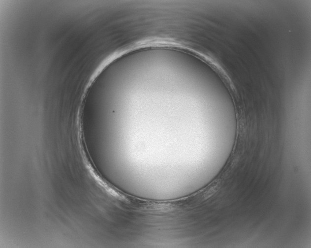 X0000079331382200611170945