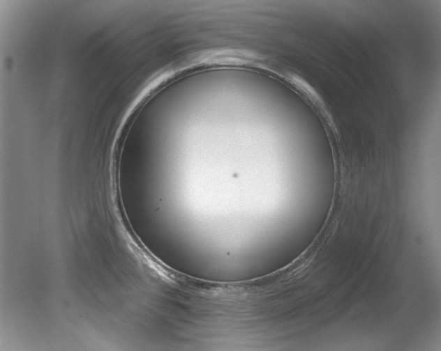 X0000079331384200611170945