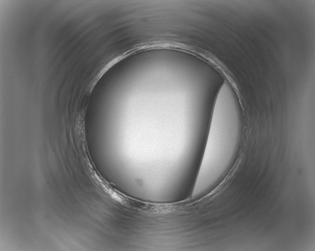 X0000079331385200611170945