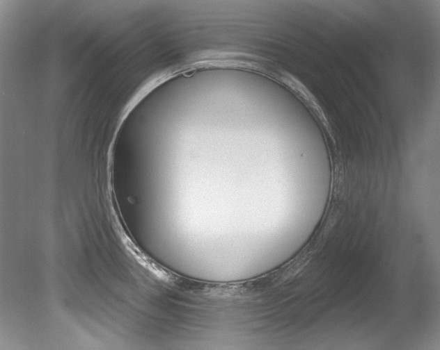 X0000079331386200611170945