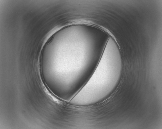X0000079331387200611170945