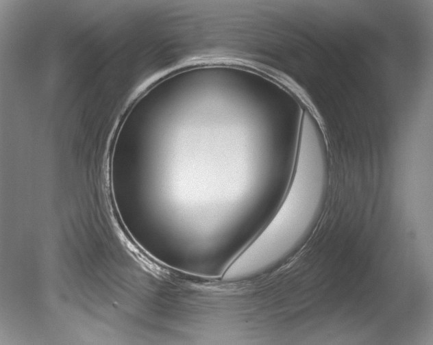 X0000079331388200611170945