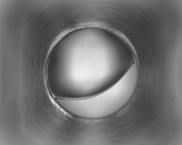 X0000079331389200611170945
