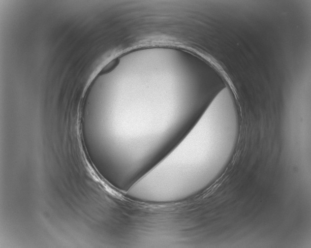 X0000079331390200611170945