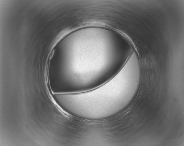 X0000079331391200611170945