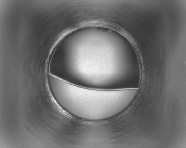 X0000079331392200611170945