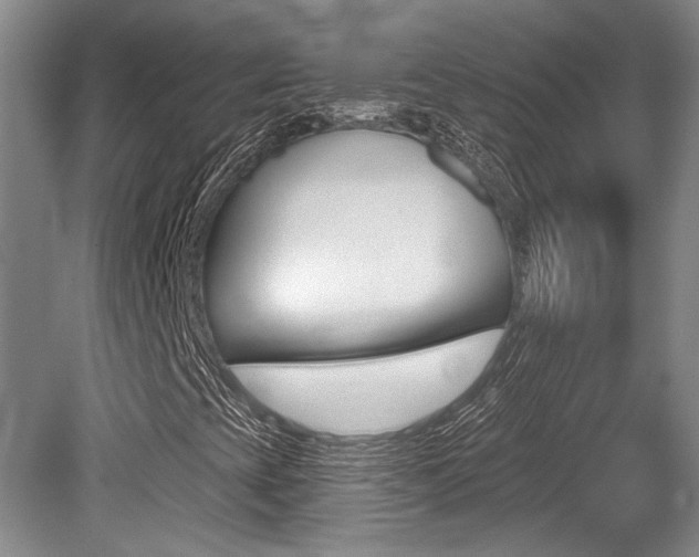 X0000079331393200611170944