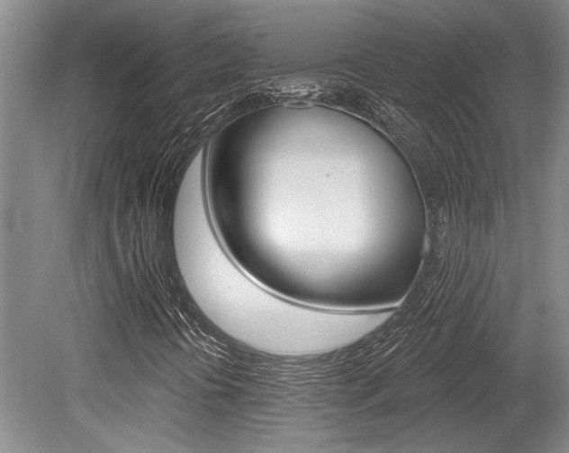 X0000079331394200611170944