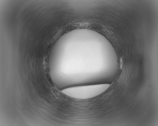 X0000079331395200611170944