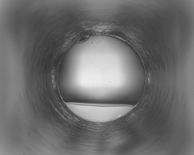 X0000079331396200611170944