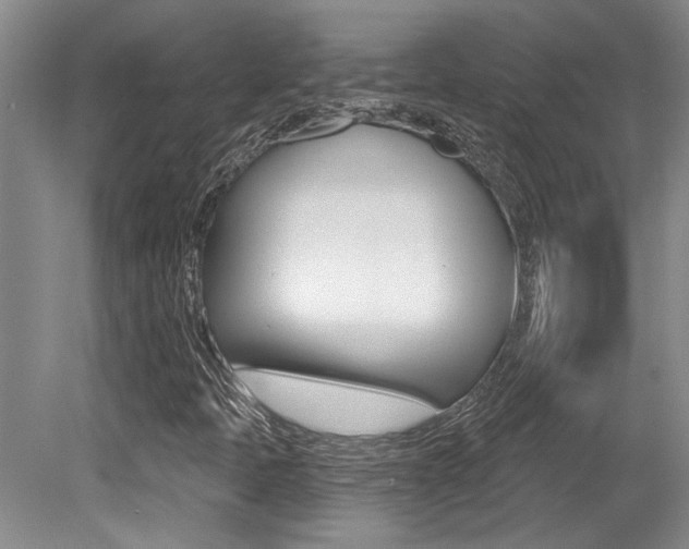 X0000079331397200611170944