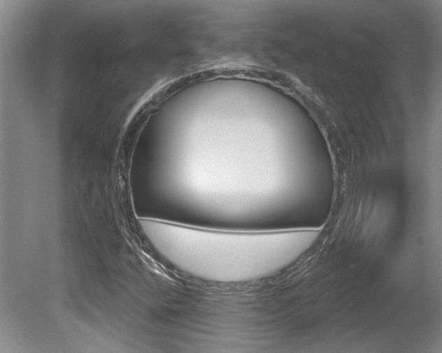 X0000079331400200611170944