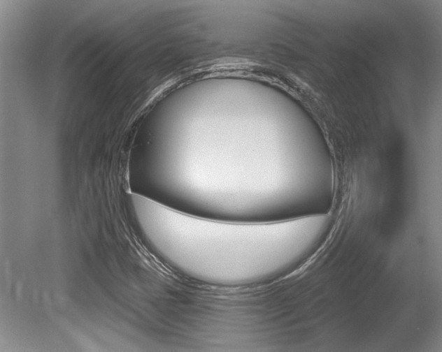 X0000079331401200611170944