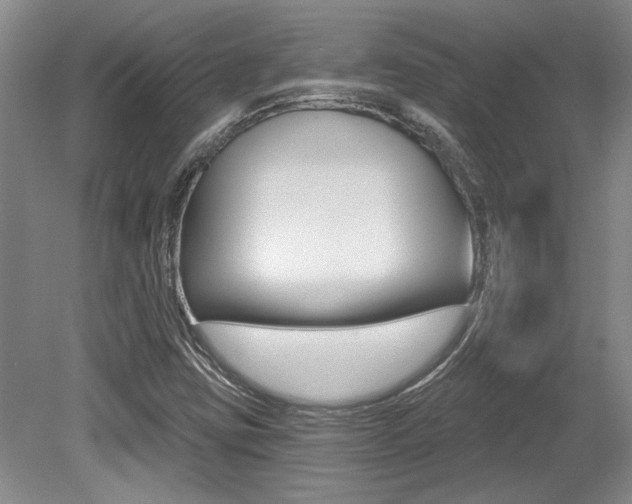 X0000079331403200611170944
