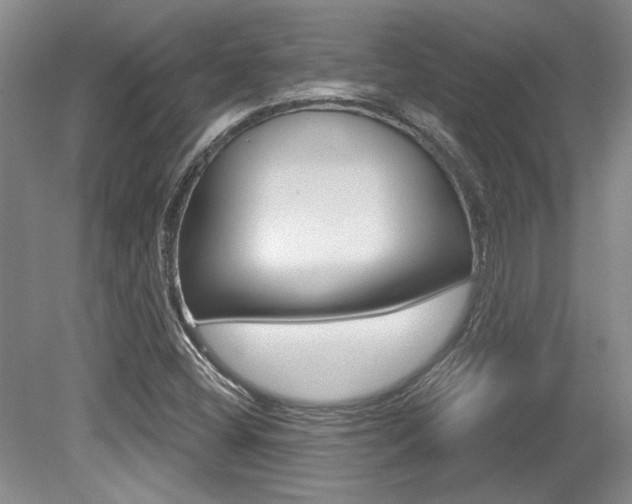 X0000079331404200611170944
