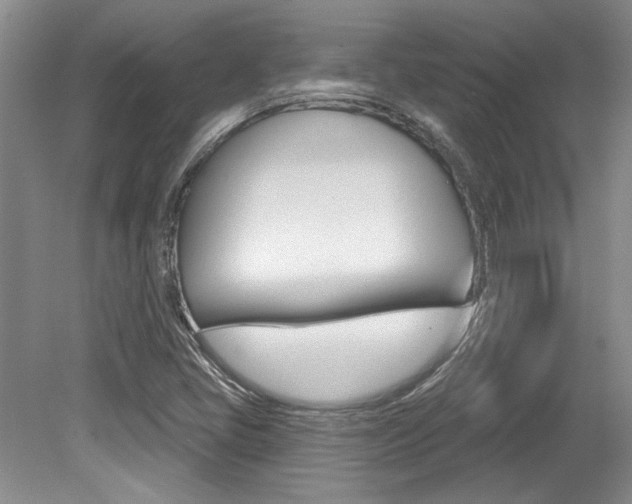 X0000079331405200611170944