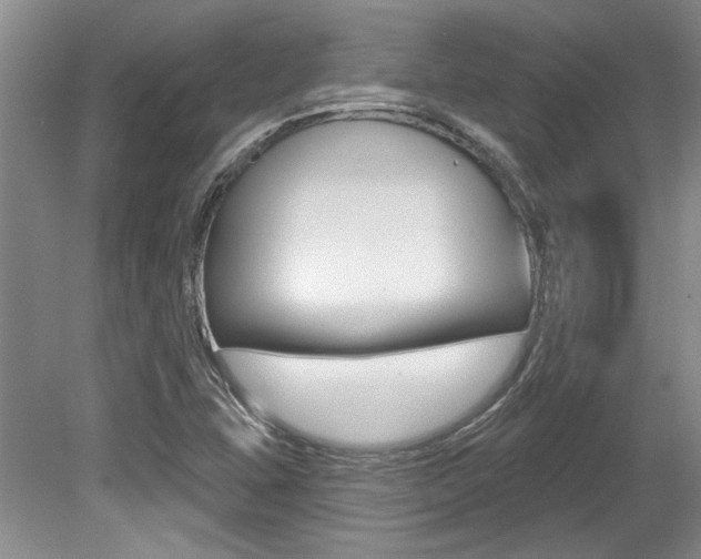 X0000079331407200611170944