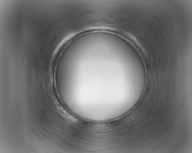 X0000079331408200611170944