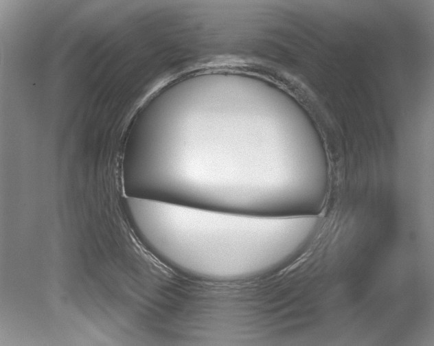 X0000079331409200611170944