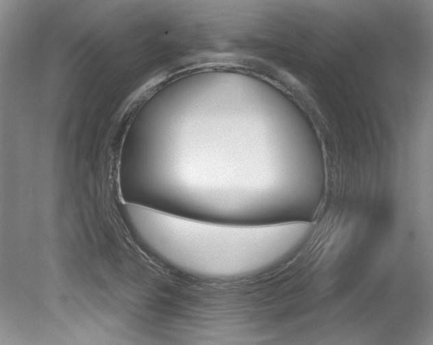 X0000079331411200611170944