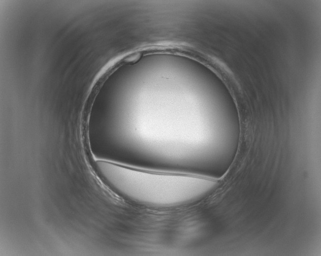 X0000079331412200611170944