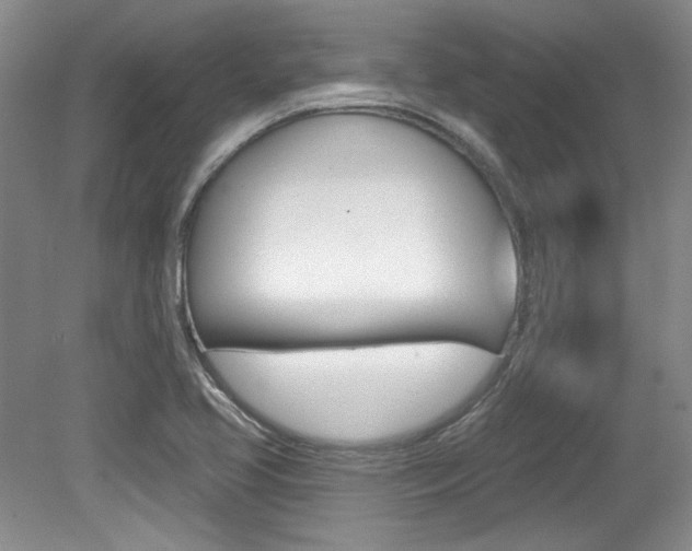 X0000079331413200611170944