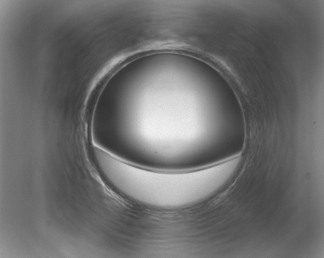 X0000079331414200611170944
