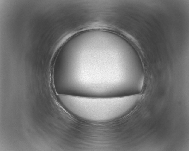 X0000079331415200611170944
