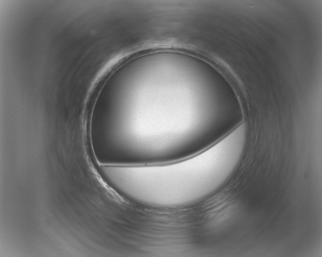 X0000079331416200611170944