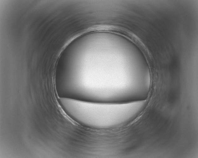 X0000079331417200611170944