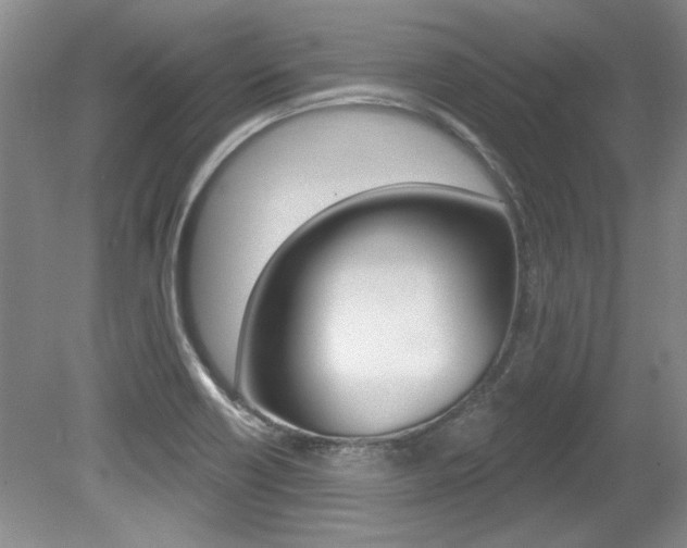 X0000079331418200611170944