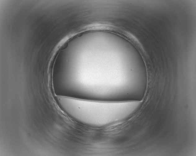 X0000079331419200611170944