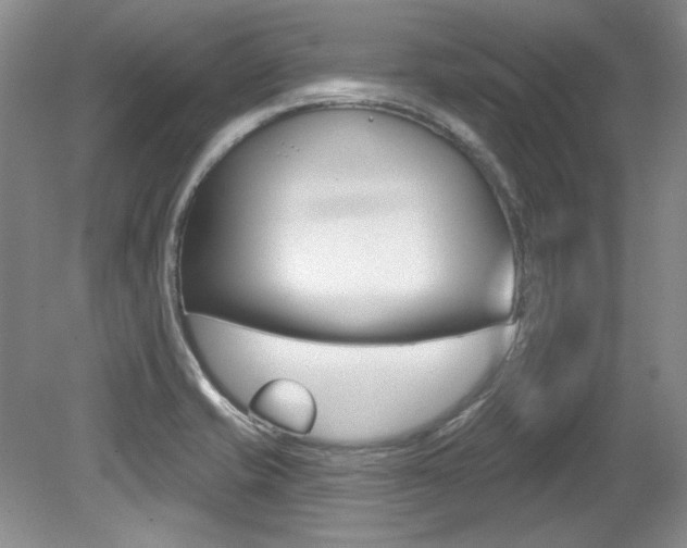 X0000079331421200611170944