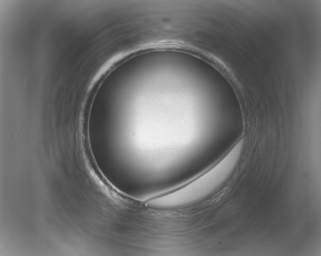 X0000079331422200611170944